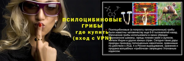 дурь Алексеевка
