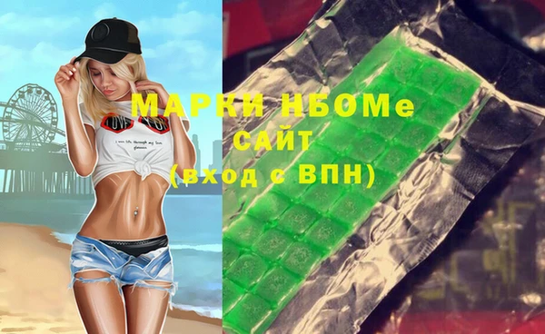 стаф Алзамай