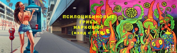 дурь Алексеевка