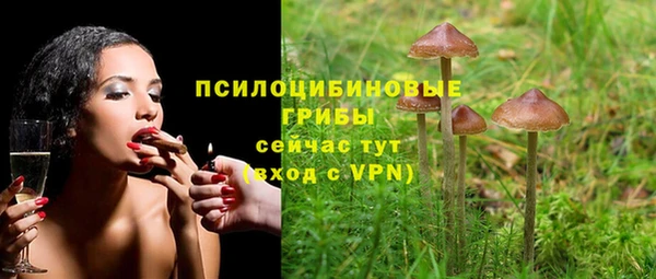 стаф Алзамай