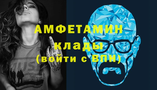 стаф Алзамай