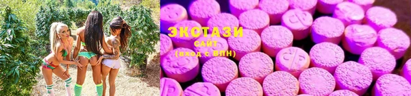 стаф Алзамай