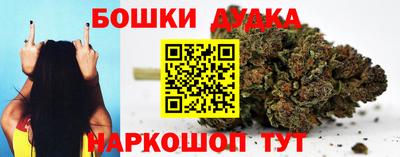 индика Апшеронск