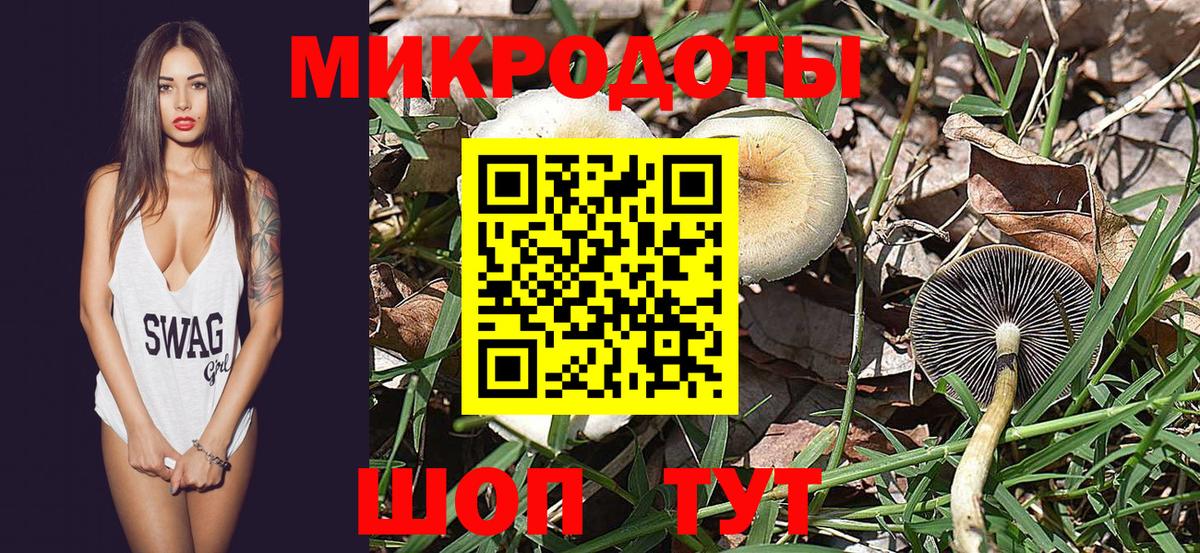 Галлюциногенные грибы Magic Shrooms  Галлюциногенные грибы прущие грибы  Владивосток  Вход с VPN 