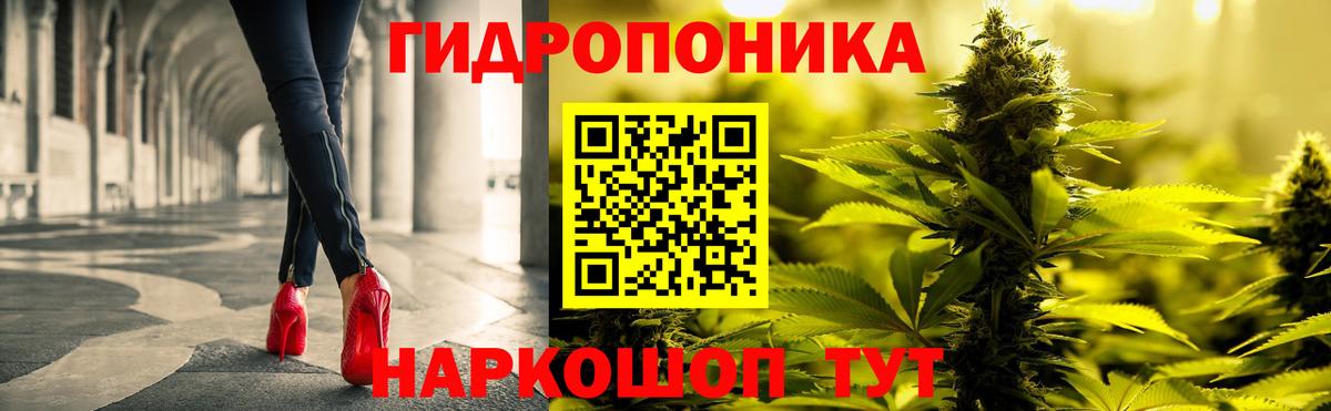 Канабис White Widow  Бошки Шишки THC 21%  Владивосток  МАРИХУАНА план  Вход с VPN 